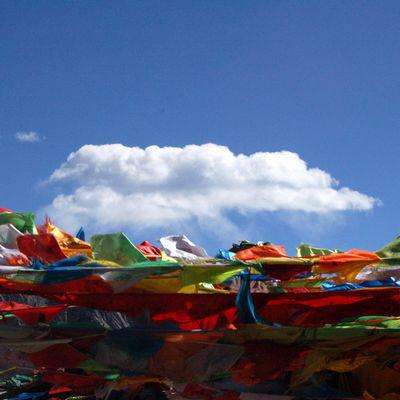 十年“组团式”教育援藏北京给拉萨带来了怎样的改变